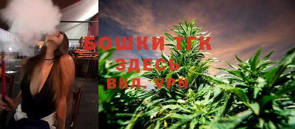 твердый Магас