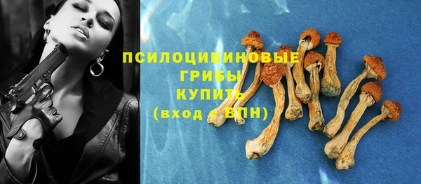 твердый Магас