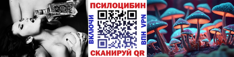 сколько стоит  Калязин  гидра ТОР  Псилоцибиновые грибы GOLDEN TEACHER 